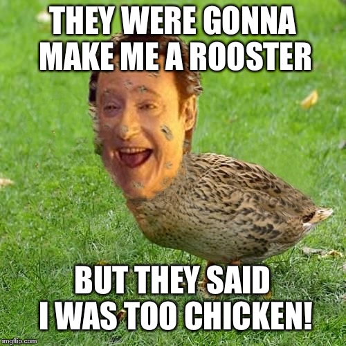 Quack quack | THEY WERE GONNA MAKE ME A ROOSTER; BUT THEY SAID I WAS TOO CHICKEN! | image tagged in the data ducky,licky lucky ducky | made w/ Imgflip meme maker