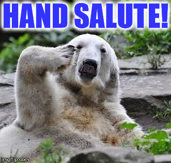 HAND SALUTE! | image tagged in bbbb | made w/ Imgflip meme maker