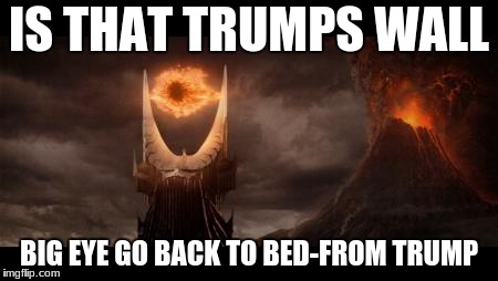 Eye Of Sauron Meme | IS THAT TRUMPS WALL; BIG EYE GO BACK TO BED-FROM TRUMP | image tagged in memes,eye of sauron | made w/ Imgflip meme maker