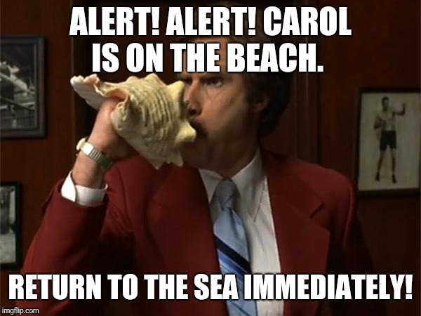 Ron Burgundy conch | ALERT! ALERT! CAROL IS ON THE BEACH. RETURN TO THE SEA IMMEDIATELY! | image tagged in ron burgundy conch | made w/ Imgflip meme maker