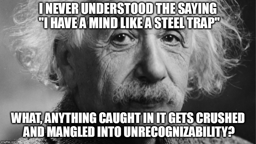 Truth be told, that's how MY memory works... | I NEVER UNDERSTOOD THE SAYING "I HAVE A MIND LIKE A STEEL TRAP"; WHAT, ANYTHING CAUGHT IN IT GETS CRUSHED AND MANGLED INTO UNRECOGNIZABILITY? | image tagged in memes,albert einstein | made w/ Imgflip meme maker