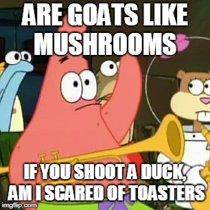 No Patrick Meme | ARE GOATS LIKE MUSHROOMS; IF YOU SHOOT A DUCK, AM I SCARED OF TOASTERS | image tagged in memes,no patrick | made w/ Imgflip meme maker