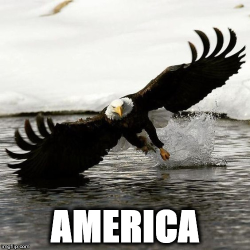 AMERICA | image tagged in eagle3 | made w/ Imgflip meme maker