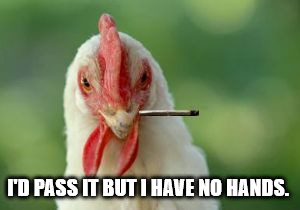 blunt chicken | I'D PASS IT BUT I HAVE NO HANDS. | image tagged in chicken,smoke weed | made w/ Imgflip meme maker