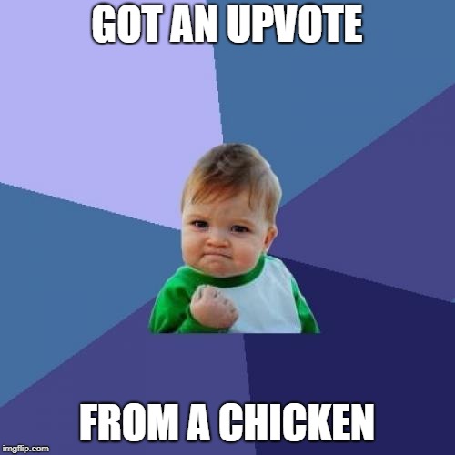 GOT AN UPVOTE FROM A CHICKEN | image tagged in memes,success kid | made w/ Imgflip meme maker