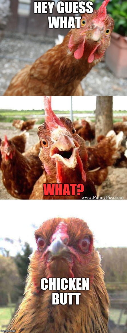 Chicken Week, April 2-8, A JBmemegeek & giveuahint Event! | HEY GUESS WHAT; WHAT? CHICKEN BUTT | image tagged in chicken week | made w/ Imgflip meme maker