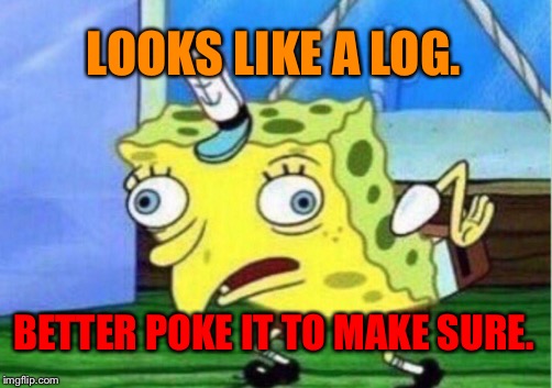 Mocking Spongebob Meme | LOOKS LIKE A LOG. BETTER POKE IT TO MAKE SURE. | image tagged in memes,mocking spongebob | made w/ Imgflip meme maker