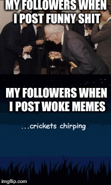 True story | MY FOLLOWERS WHEN I POST FUNNY SHIT; MY FOLLOWERS WHEN I POST WOKE MEMES | image tagged in woke | made w/ Imgflip meme maker