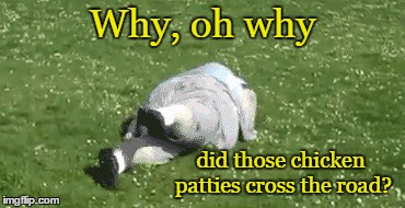 Why, oh why did those chicken patties cross the road? | made w/ Imgflip meme maker