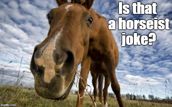 Is that a horseist joke? | made w/ Imgflip meme maker