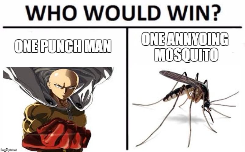 Who Would Win? Meme | ONE PUNCH MAN; ONE ANNYOING MOSQUITO | image tagged in memes,who would win | made w/ Imgflip meme maker