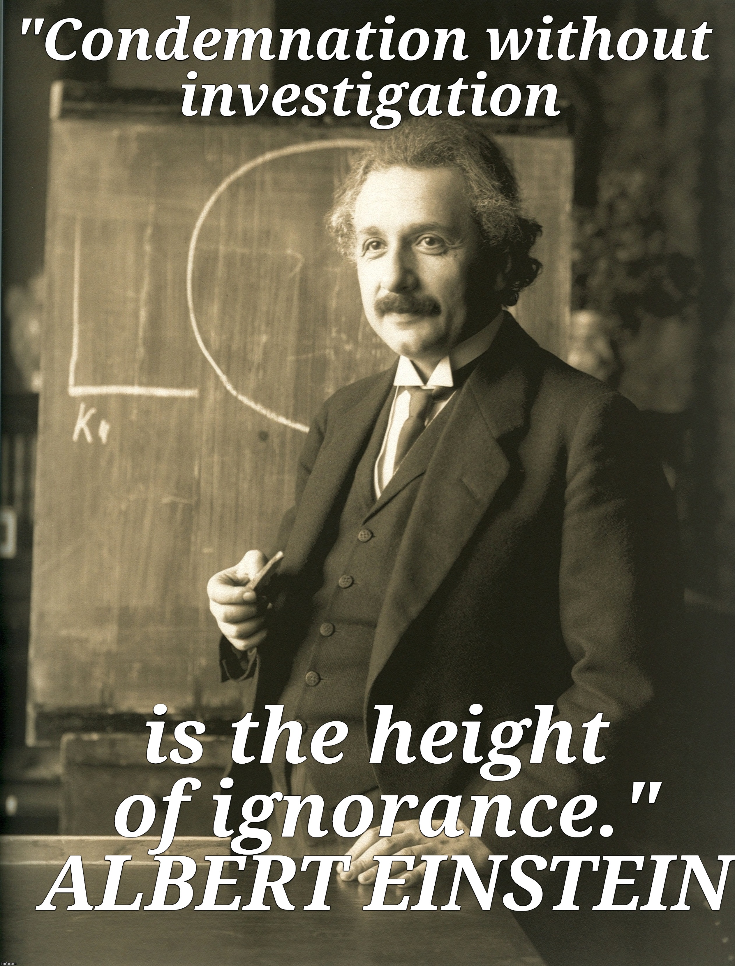 Ignorance is Bliss | "Condemnation without investigation; is the height of ignorance." ALBERT EINSTEIN | image tagged in albert einstein,truth | made w/ Imgflip meme maker