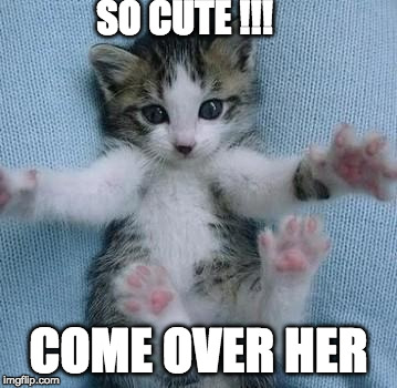 I love you this much  | SO CUTE !!! COME OVER HER | image tagged in i love you this much | made w/ Imgflip meme maker
