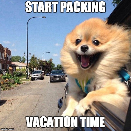 Traveling dog | START PACKING; VACATION TIME | image tagged in traveling dog | made w/ Imgflip meme maker