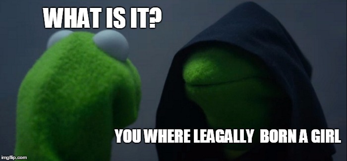 Evil Kermit Meme | WHAT IS IT? YOU WHERE LEAGALLY  BORN A GIRL | image tagged in memes,evil kermit | made w/ Imgflip meme maker