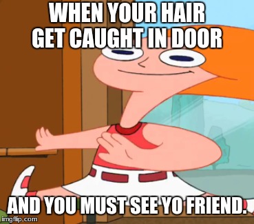 hi | WHEN YOUR HAIR GET CAUGHT IN DOOR; AND YOU MUST SEE YO FRIEND. | image tagged in phineas and ferb | made w/ Imgflip meme maker