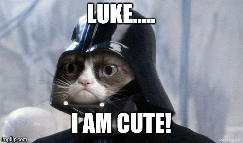 Grumpy Cat Star Wars Meme | LUKE..... I AM CUTE! | image tagged in memes,grumpy cat star wars,grumpy cat | made w/ Imgflip meme maker