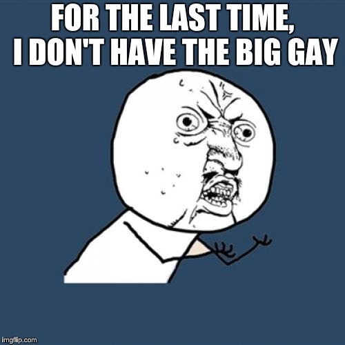 Y U No | FOR THE LAST TIME, I DON'T HAVE THE BIG GAY | image tagged in memes,y u no | made w/ Imgflip meme maker