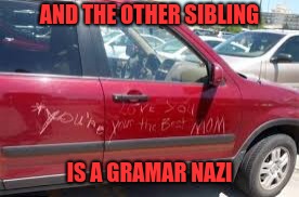 AND THE OTHER SIBLING IS A GRAMAR NAZI | made w/ Imgflip meme maker