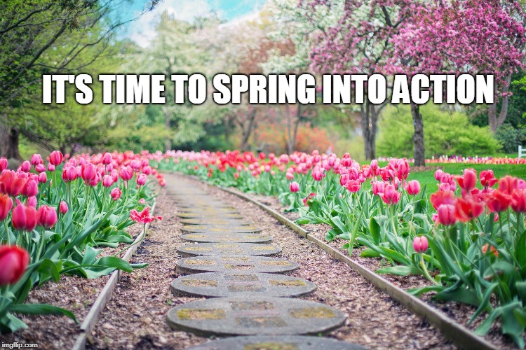 IT'S TIME TO SPRING INTO ACTION | image tagged in springintoaction | made w/ Imgflip meme maker