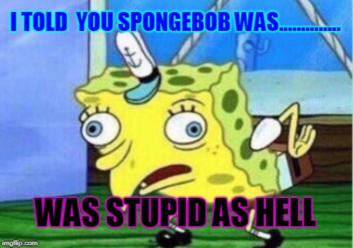 Mocking Spongebob Meme | I TOLD  YOU SPONGEBOB WAS.............. WAS STUPID AS HELL | image tagged in memes,mocking spongebob | made w/ Imgflip meme maker