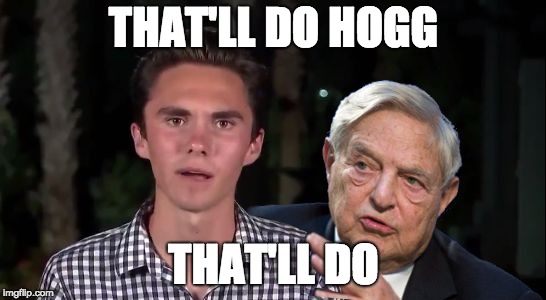 THAT'LL DO HOGG; THAT'LL DO | image tagged in sorosbehindya | made w/ Imgflip meme maker