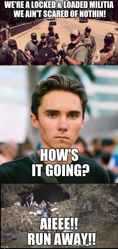 Conservative snowflake detector.  Downvote this to expose yourselves! | WE'RE A LOCKED & LOADED MILITIA  WE AIN'T SCARED OF NOTHIN! HOW'S IT GOING? AIEEE!!  RUN AWAY!! | image tagged in nra,militia,david hogg,snowflake,funny,memes | made w/ Imgflip meme maker