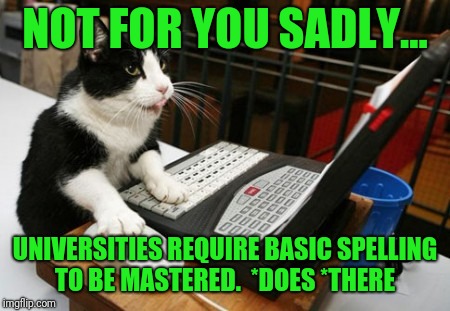 Fact Cat | NOT FOR YOU SADLY... UNIVERSITIES REQUIRE BASIC SPELLING TO BE MASTERED.  *DOES *THERE | image tagged in fact cat | made w/ Imgflip meme maker