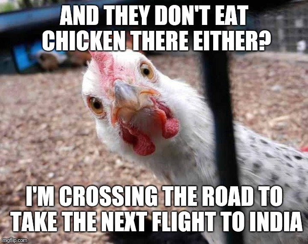 AND THEY DON'T EAT CHICKEN THERE EITHER? I'M CROSSING THE ROAD TO TAKE THE NEXT FLIGHT TO INDIA | made w/ Imgflip meme maker