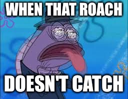 Choking Spongebob | WHEN THAT ROACH; DOESN'T CATCH | image tagged in choking spongebob | made w/ Imgflip meme maker