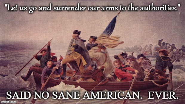 Gun control | "Let us go and surrender our arms to the authorities."; SAID NO SANE AMERICAN.  EVER. | image tagged in george washington,freedom,eff king george | made w/ Imgflip meme maker