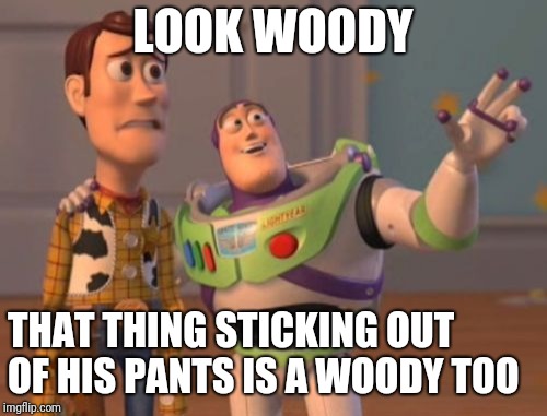 X, X Everywhere Meme | LOOK WOODY; THAT THING STICKING OUT OF HIS PANTS IS A WOODY TOO | image tagged in memes,x x everywhere | made w/ Imgflip meme maker