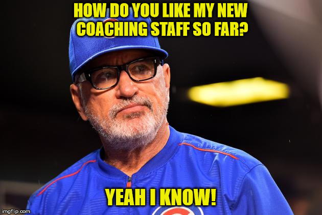 HOW DO YOU LIKE MY NEW COACHING STAFF SO FAR? YEAH I KNOW! | image tagged in maddon | made w/ Imgflip meme maker