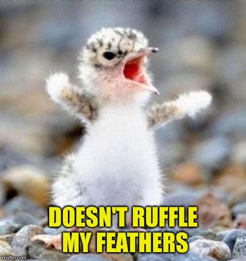 DOESN'T RUFFLE MY FEATHERS | made w/ Imgflip meme maker