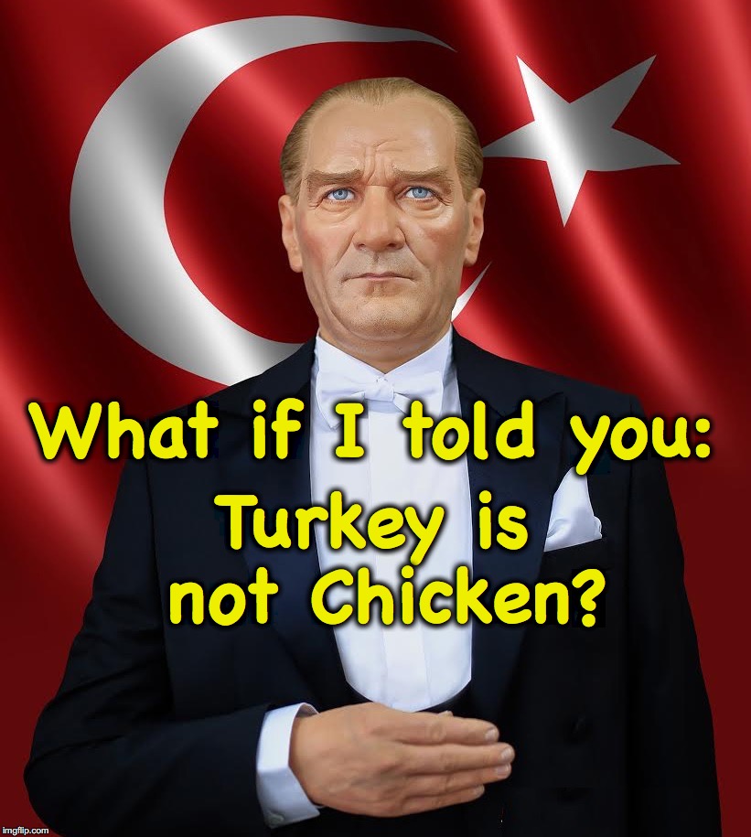 Turkey is not Chicken | What if I told you:; Turkey is not Chicken? | image tagged in turkey,chicken | made w/ Imgflip meme maker