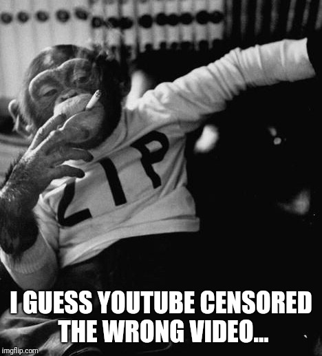 I GUESS YOUTUBE CENSORED THE WRONG VIDEO... | image tagged in youtube,censorship | made w/ Imgflip meme maker