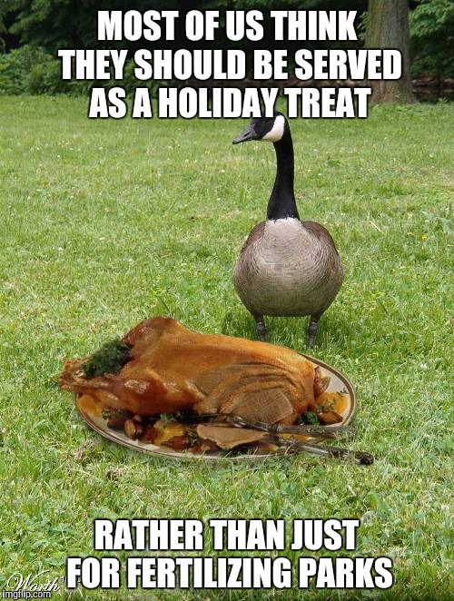 MOST OF US THINK THEY SHOULD BE SERVED AS A HOLIDAY TREAT RATHER THAN JUST FOR FERTILIZING PARKS | made w/ Imgflip meme maker