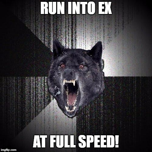 Insanity Wolf | RUN INTO EX; AT FULL SPEED! | image tagged in memes,insanity wolf | made w/ Imgflip meme maker