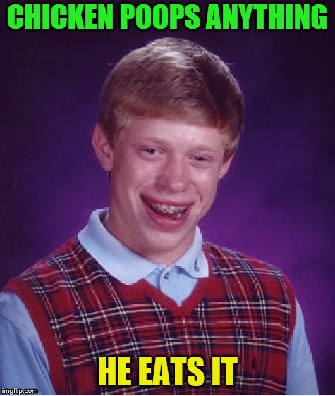 Bad Luck Brian Meme | CHICKEN POOPS ANYTHING HE EATS IT | image tagged in memes,bad luck brian | made w/ Imgflip meme maker