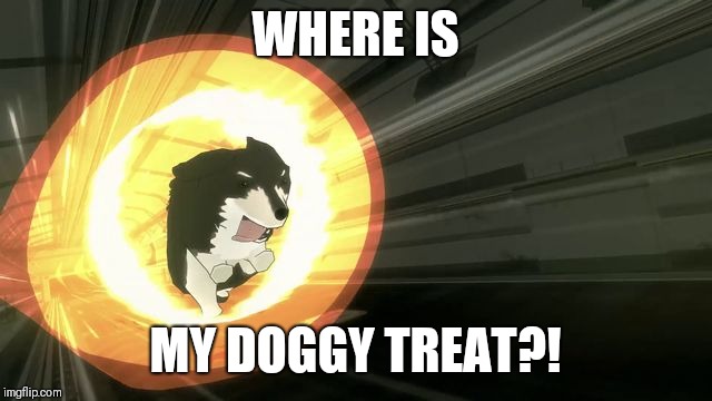 rwby | WHERE IS; MY DOGGY TREAT?! | image tagged in rwby | made w/ Imgflip meme maker