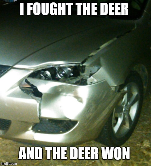 I FOUGHT THE DEER AND THE DEER WON | made w/ Imgflip meme maker