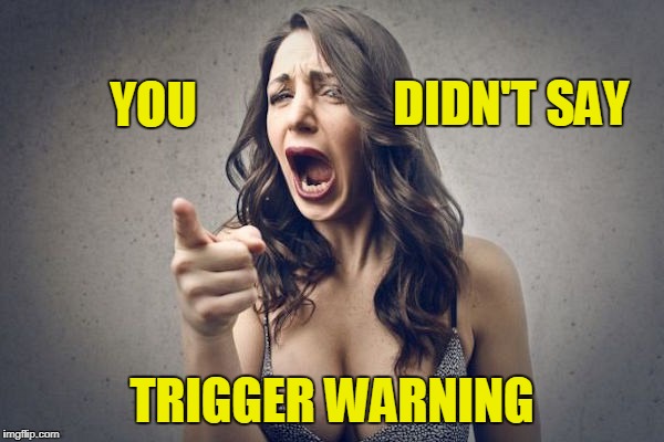 Trigger Warning | DIDN'T SAY; YOU; TRIGGER WARNING | image tagged in trigger warning,triggered template,antifa,feminist,sjw,screaming woman | made w/ Imgflip meme maker