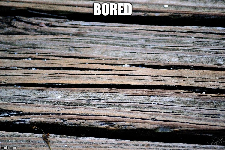 BORED | image tagged in bored | made w/ Imgflip meme maker