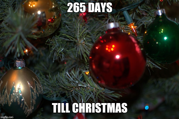 265 DAYS; TILL CHRISTMAS | image tagged in christmas | made w/ Imgflip meme maker