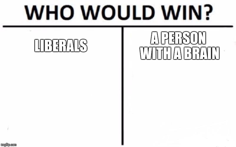Who Would Win? | LIBERALS; A PERSON WITH A BRAIN | image tagged in memes,who would win | made w/ Imgflip meme maker