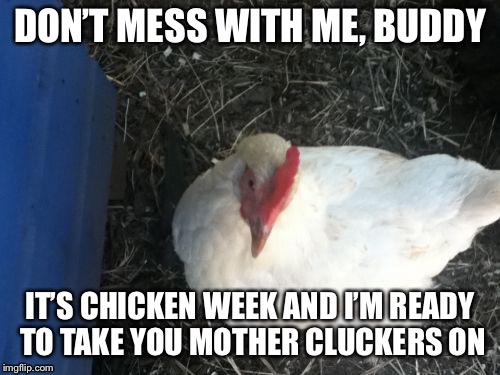 CHICKEN WEEK! |  DON’T MESS WITH ME, BUDDY; IT’S CHICKEN WEEK AND I’M READY TO TAKE YOU MOTHER CLUCKERS ON | image tagged in memes,angry chicken boss,chicken week,funny,chicken | made w/ Imgflip meme maker