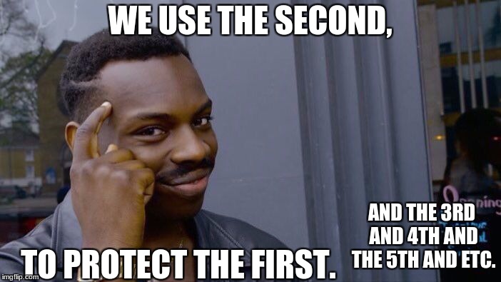 Roll Safe Think About It Meme | WE USE THE SECOND, TO PROTECT THE FIRST. AND THE 3RD AND 4TH AND THE 5TH AND ETC. | image tagged in memes,roll safe think about it | made w/ Imgflip meme maker