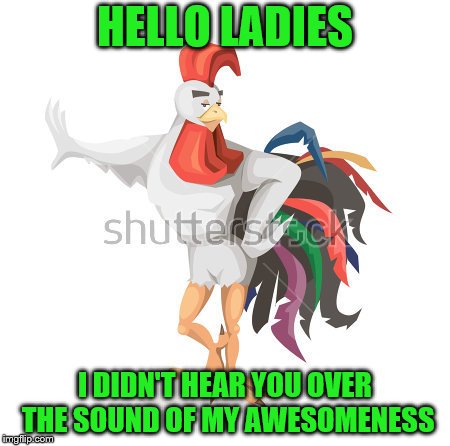 HELLO LADIES I DIDN'T HEAR YOU OVER THE SOUND OF MY AWESOMENESS | made w/ Imgflip meme maker