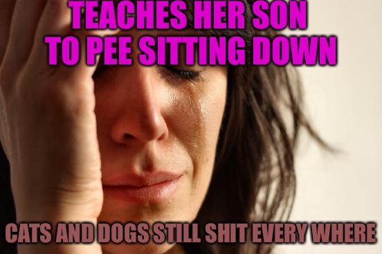 Where’s The Father?  | TEACHES HER SON TO PEE SITTING DOWN; CATS AND DOGS STILL SHIT EVERY WHERE | image tagged in memes,first world problems,parents,pets,shit,liberals | made w/ Imgflip meme maker
