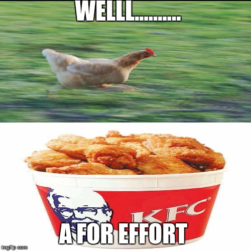 Chicken Week! A JBmemegeek & giveuahint Event (April 2-8)  | WELLL.......... A FOR EFFORT | image tagged in chicken week | made w/ Imgflip meme maker